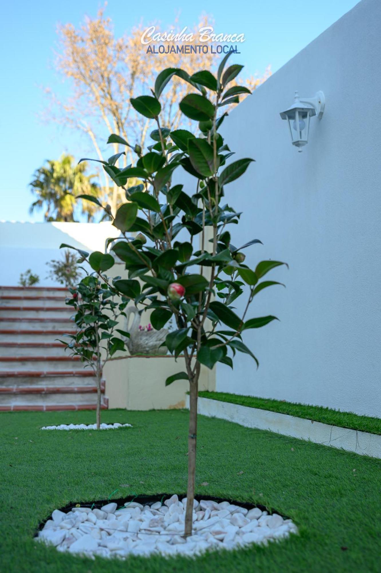 Casinha Branca Hotel Fundão Exterior photo